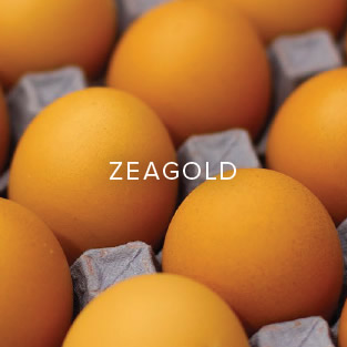 Zeagold